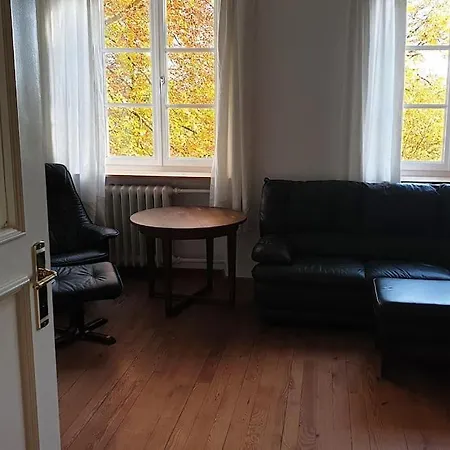 Ferienwohnung In Der Villa Sana Mit Grossem Garten Rofingen Eksteriør billede