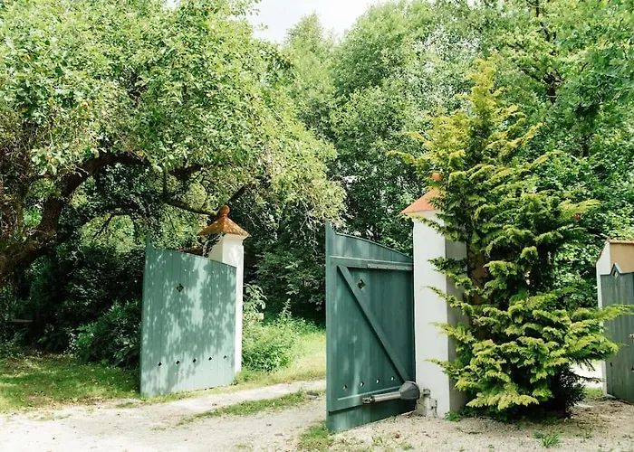 Ferienwohnung In Der Villa Sana Mit Grossem Garten